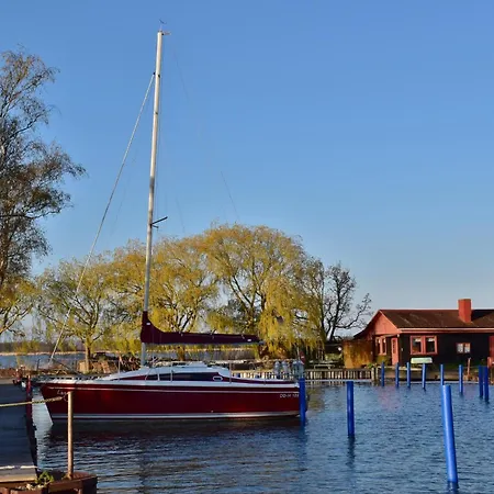 Moewe Daire Dierhagen