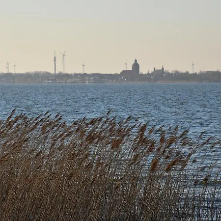 Daire Moewe Dierhagen